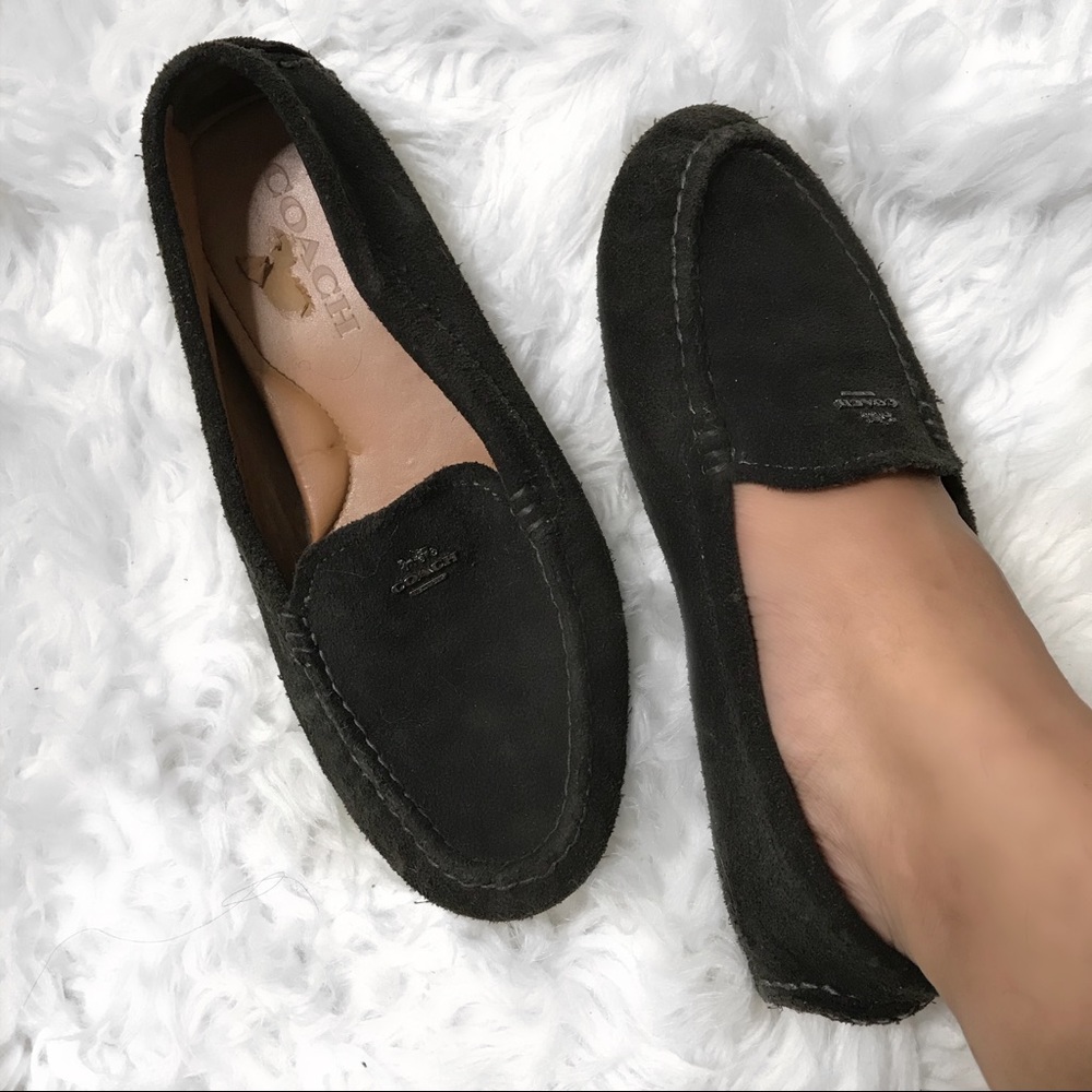 Coach Loafers